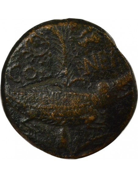 Rome - Provinces Agrippa Auguste tête laurée Dupondius Bronze 15 à 13 Av JC Nîmes Rome - Provinces