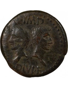 Rome - Provinces Agrippa Auguste tête nue Dupondius Bronze 20 à 10 Av JC Nîmes Rome - Provinces 2