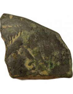 Rome - Provinces Agrippa Auguste tête laurée Semis Bronze 20 à 10 Av JC Nîmes Rome - Provinces 2