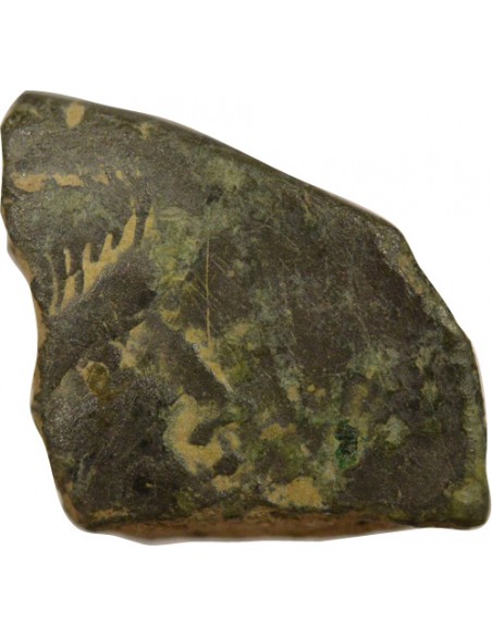 Rome - Provinces Agrippa Auguste tête laurée Semis Bronze 20 à 10 Av JC Nîmes Rome - Provinces