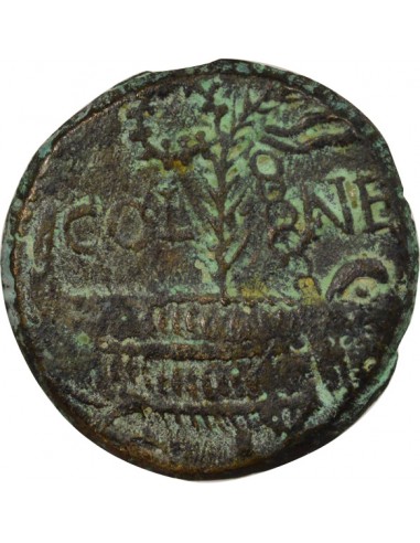 Rome - Provinces Agrippa Auguste tête laurée Dupondius Bronze 20 à 10 Av JC Nîmes Rome - Provinces