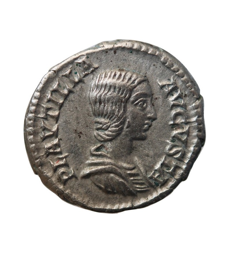 PLAUTILLE - DENIER 204