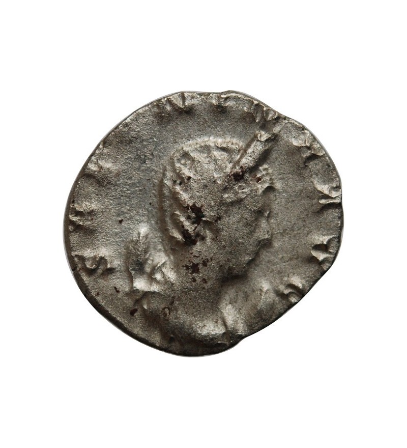 SALONINE - ANTONINIEN 258