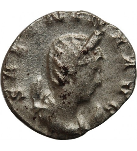 SALONINE - ANTONINIEN 258