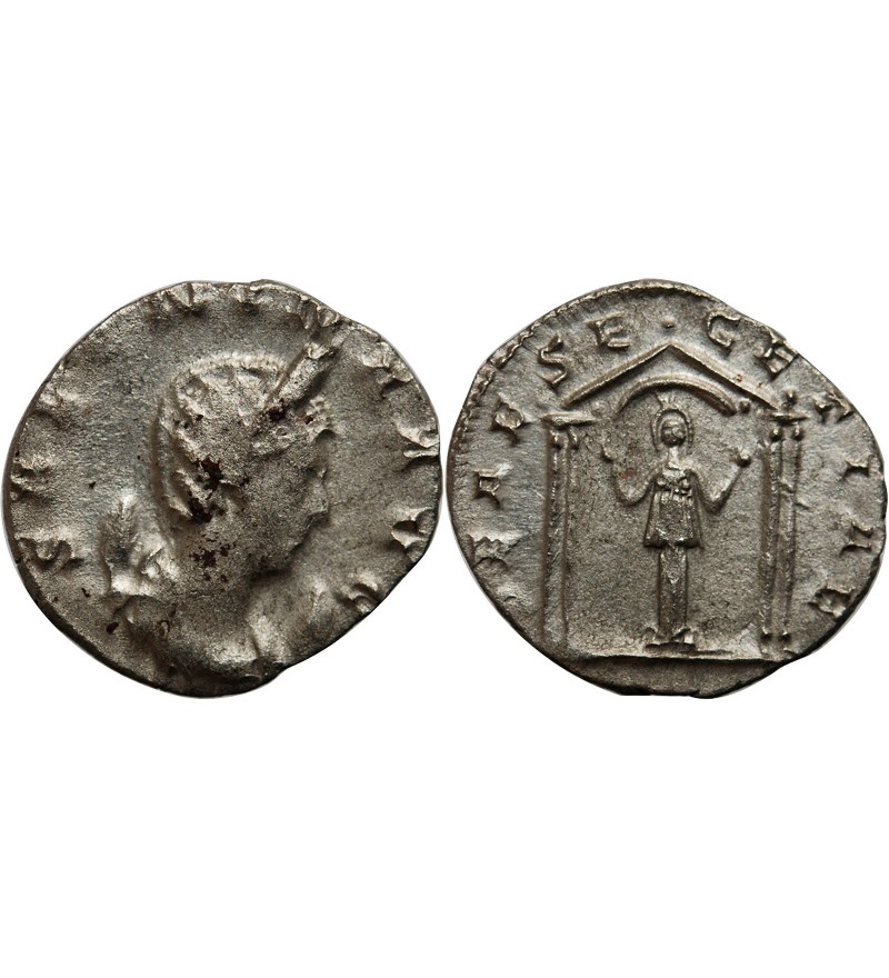 SALONINE - ANTONINIEN 258