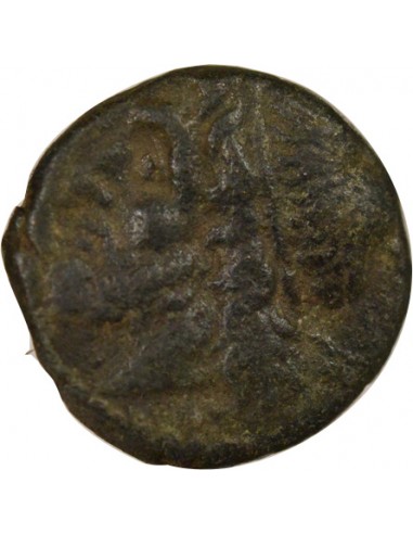 Grèce (Syracuse) Hiéron II 1 litra Bronze 260-220Av JC Syracuse