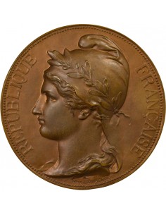 Hubert Michaux Sénateur Jeton Bronze 1885 2