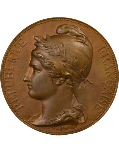 Hubert Michaux Sénateur Jeton Bronze 1885