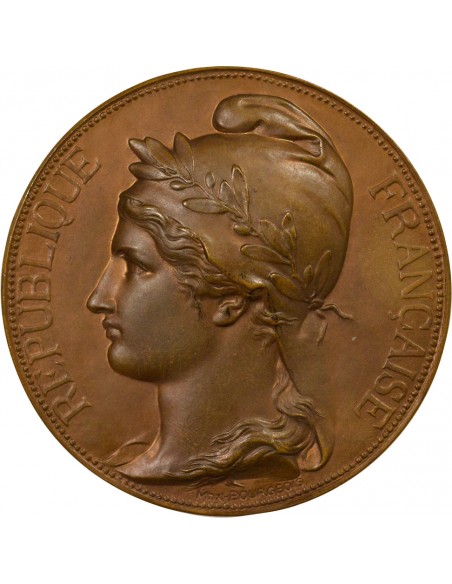 Hubert Michaux Sénateur Jeton Bronze 1885