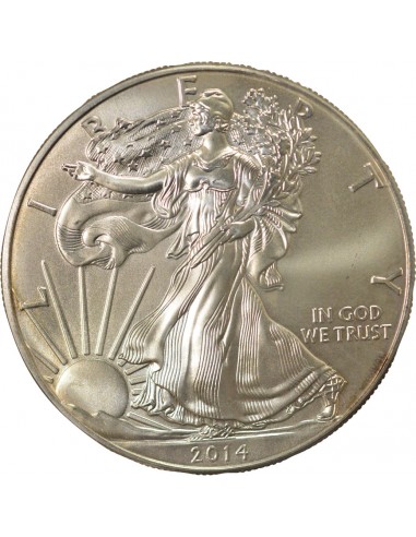 USA Silver Eagle 1 dollar Argent 2014