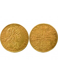 Louis XIII A la Mèche Longue 1/2 louis d'or Or 1641 A - Paris