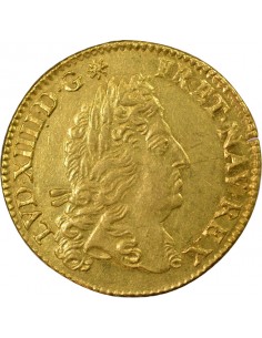 Louis XIV A l'Ecu 1 louis d'or Or 1690 A - Paris 2