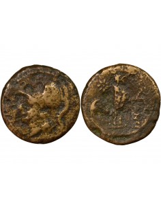 Italie (Campanie) Coq 1 ae Bronze 265-240 Av JC Cales
