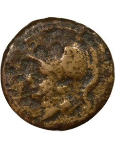 Italie (Campanie) Coq 1 ae Bronze 265-240 Av JC Cales 2