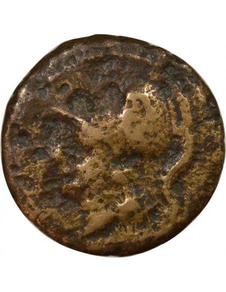 Italie (Campanie) Coq 1 ae Bronze 265-240 Av JC Cales