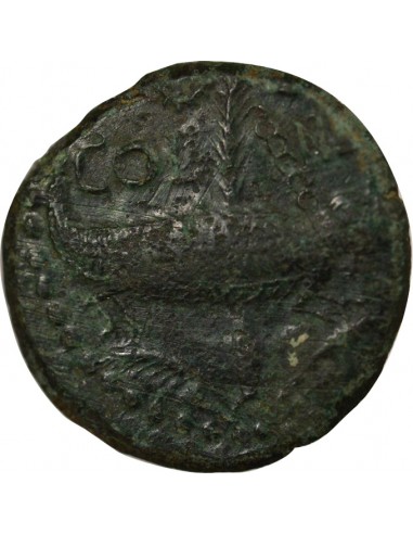 Rome - Provinces Auguste Groupe 2 1 dupondius Bronze 20 Av JC / 10 Nîmes