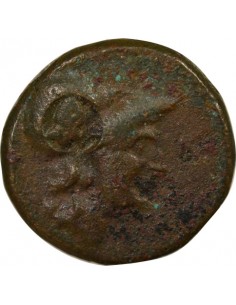 Italie (Campanie) 1 ae Bronze 277-230 Av JC 2