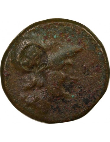 Italie (Campanie) 1 ae Bronze 277-230 Av JC