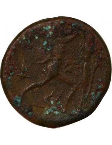 Italie (Campanie) 1 ae Bronze 277-230 Av JC