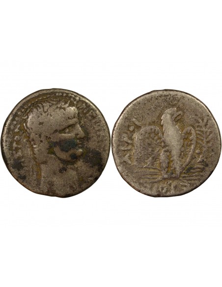 Rome - Provinces Vespasien 1 tétradrachme Argent 62-63 Antioche