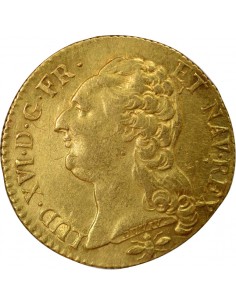 Louis XVI Tête nue 1 louis d'or Or 1786 D Lyon 2