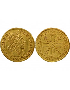 Louis XIII A la Mèche Longue 1/2 louis d'or Or 1642 A - Paris