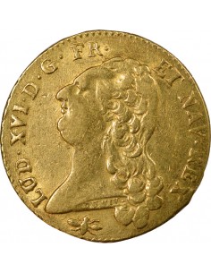 Louis XVI Tête nue 2 louis d'or Or 1787 D Lyon 2