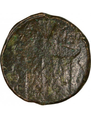 Grèce (Sicile) Hiéron II 1 litra Bronze 270-215 Av JC Syracuse