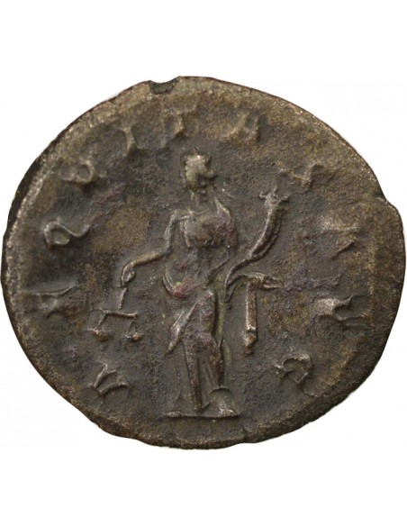Rome Empire Gordien III Aequitas 1 antoninien Billon 239 R Rome