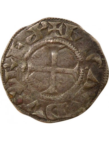 Richard Coeur de Lion Comté de Poitou