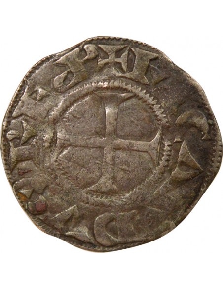 Richard Coeur de Lion Comté de Poitou