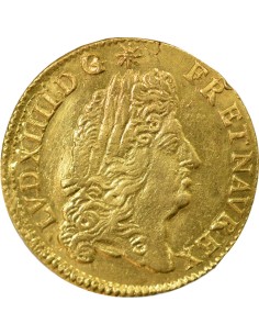 Louis XIV A l'Ecu 1 louis d'or Or 1691 B Rouen 2