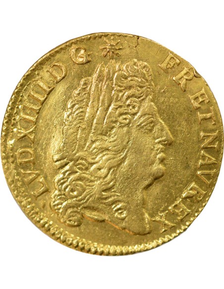 Louis XIV A l'Ecu 1 louis d'or Or 1691 B Rouen
