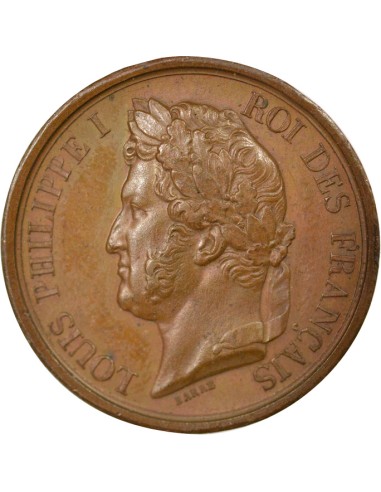 au Duc d'Orléans 1 médaille Cuivre 1845-1848
