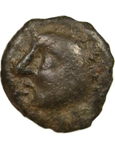 Gaule A la Tête Chauve 1 potin Potin Ier siècle Av JC