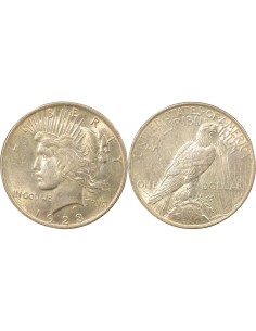 Peace Dollar Argent 1923 Philadelphie - Description Détaillée