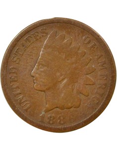 USA Tête d'Indien 2