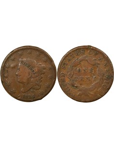 USA Coronet / Matron