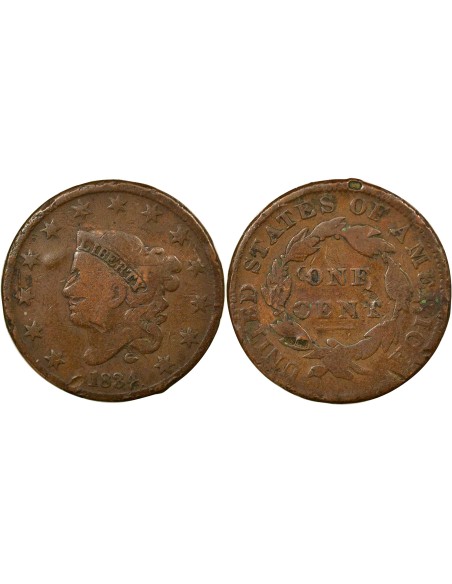 USA Coronet / Matron