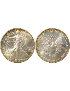 USA American Silver Eagle 1 Dollar Argent 1989