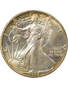 USA American Silver Eagle 1 Dollar Argent 1989 2