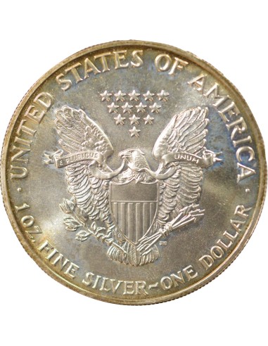 USA American Silver Eagle 1 Dollar Argent 1989