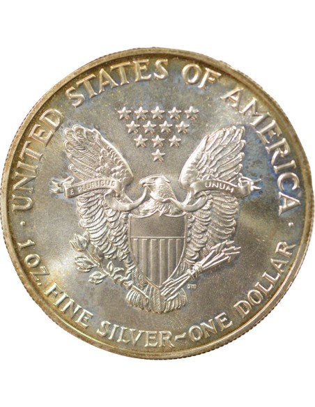 USA American Silver Eagle 1 Dollar Argent 1989