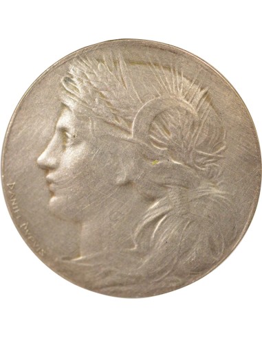 Exposition Universelle de Paris 1 jeton Argent 1900