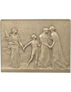 Chemins de Fer Paris-Lyon-Méditerranée 1 médaille Argent 1879-1911 2