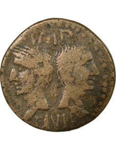 Rome - Provinces Auguste 1 dupondius Bronze 20-10 Av JC Nîmes 2