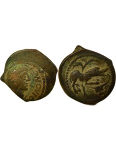 Gaule Contovtos 1 bronze Bronze Ie siècle AV JC