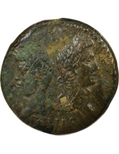 Rome - Provinces Auguste 1 dupondius Bronze 9-3 Av JC Nîmes 2