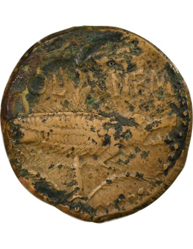 Rome - Provinces Auguste 1 dupondius Bronze 9-3 Av JC Nîmes