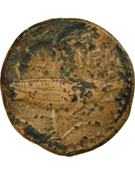 Rome - Provinces Auguste 1 dupondius Bronze 9-3 Av JC Nîmes